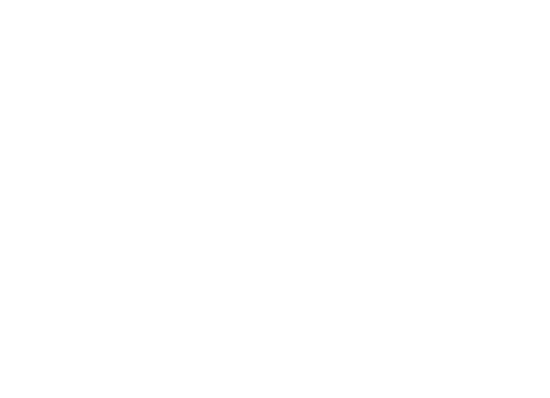 IPE Logo